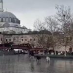 Square Eminönü’deki terk edilmiş köpeklerin saldırısı kamerada