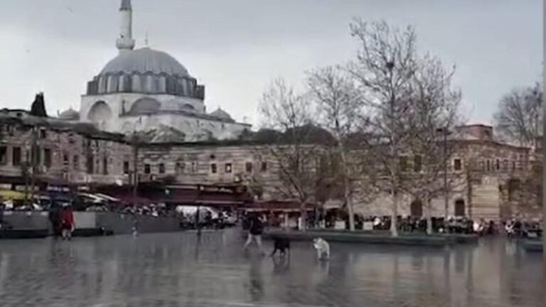 Square Eminönü’deki terk edilmiş köpeklerin saldırısı kamerada