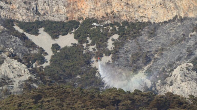 Bilecik’teki orman yangını kontrol altına alındı