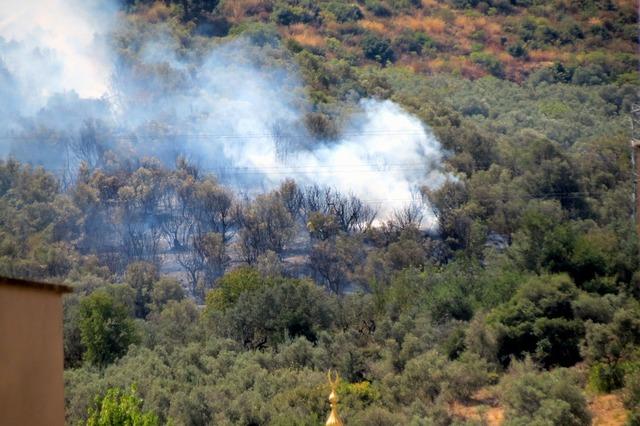 Mudanya 2'de korkutucu ateş 2