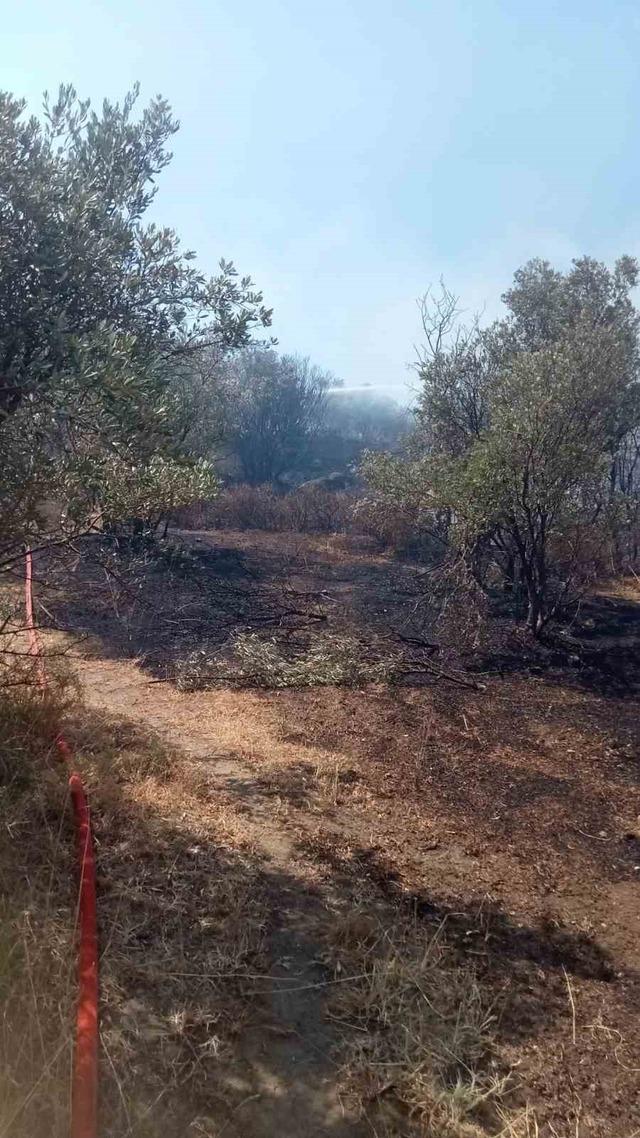 Mudanya 4'te korkutucu ateş
