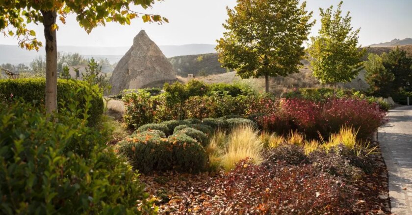 Birlikte yaşamın bahçeleri – Son Dakika Cumhuriyet Pazar Haberleri